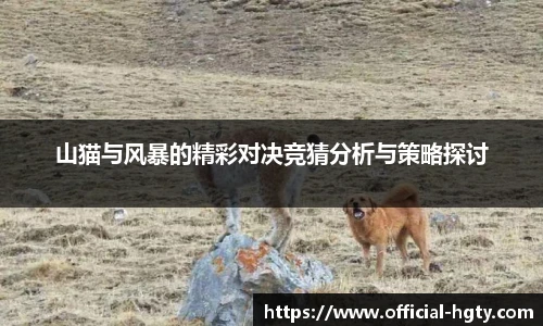 山猫与风暴的精彩对决竞猜分析与策略探讨